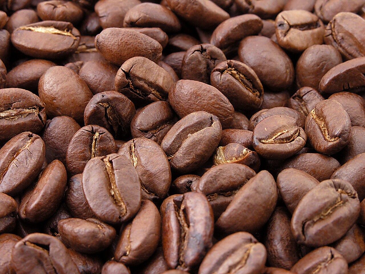 Hsiao Ti Coffee (小堤咖啡)